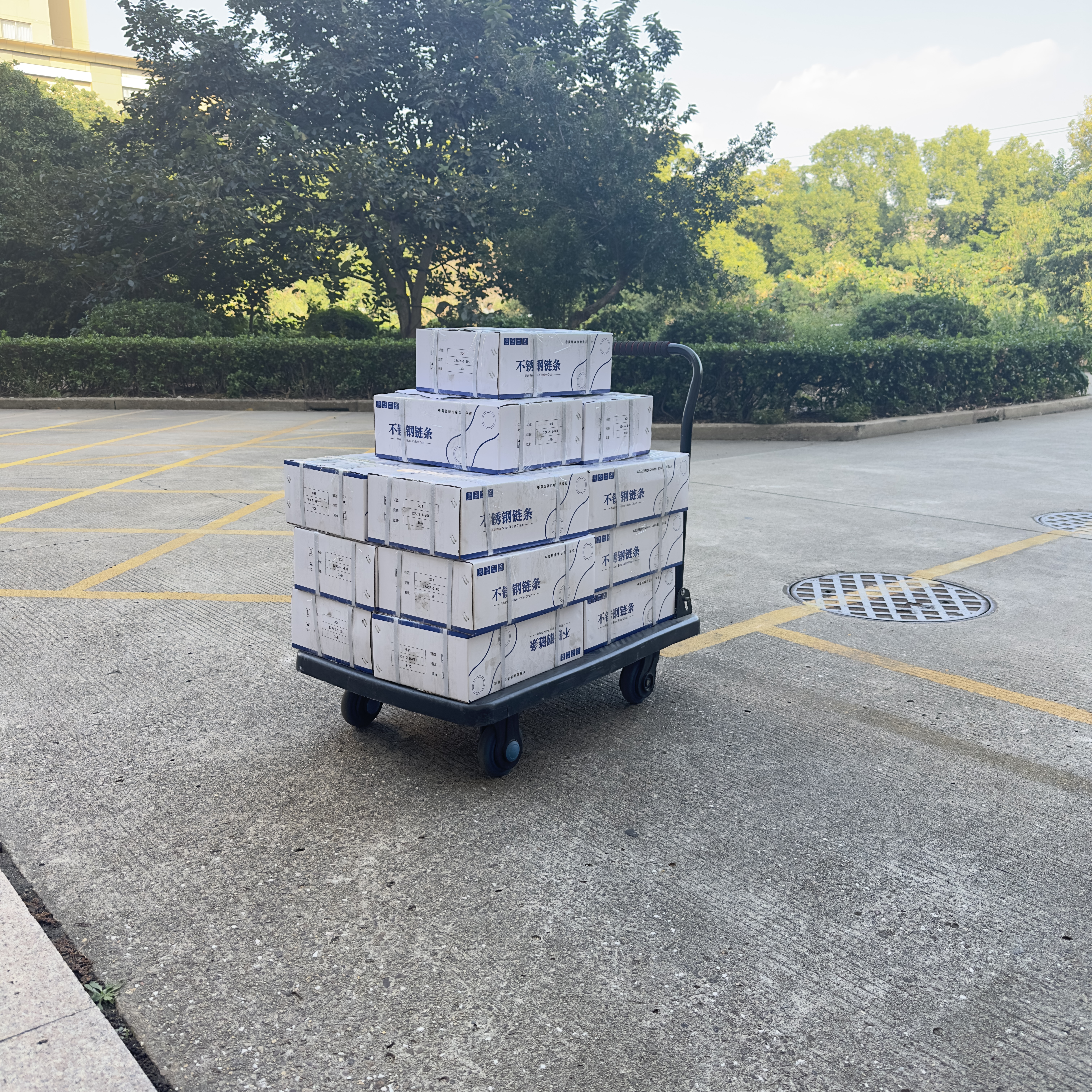 <strong>Nov 7th,2025, 300FT </strong>